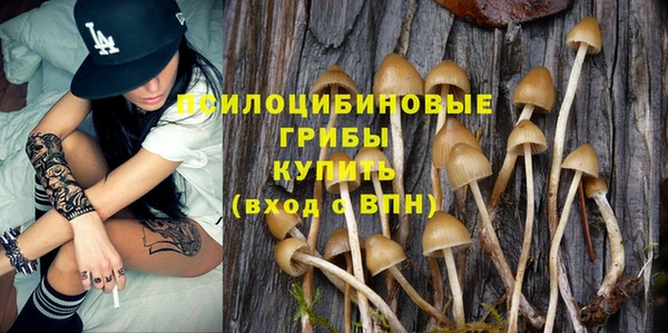 МДПВ Бугульма