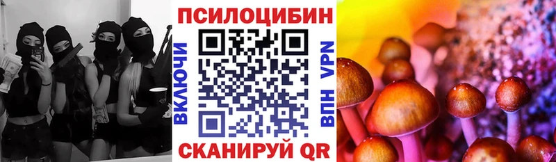 купить закладку  Губкинский  Галлюциногенные грибы Magic Shrooms 